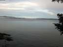 ./images/koeye/fitz-hugh/20200827/fitz-hugh20200827_082501.jpg