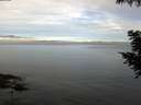 ./images/koeye/fitz-hugh/20200827/fitz-hugh20200827_083501.jpg