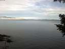 ./images/koeye/fitz-hugh/20200827/fitz-hugh20200827_084001.jpg