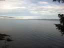 ./images/koeye/fitz-hugh/20200827/fitz-hugh20200827_084501.jpg