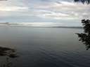 ./images/koeye/fitz-hugh/20200827/fitz-hugh20200827_085001.jpg