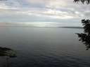 ./images/koeye/fitz-hugh/20200827/fitz-hugh20200827_085501.jpg