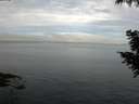 ./images/koeye/fitz-hugh/20200827/fitz-hugh20200827_091001.jpg