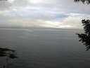 ./images/koeye/fitz-hugh/20200827/fitz-hugh20200827_092501.jpg