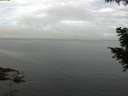 ./images/koeye/fitz-hugh/20200827/fitz-hugh20200827_094002.jpg