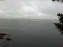 ./images/koeye/fitz-hugh/20200827/fitz-hugh20200827_095001.jpg
