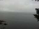 ./images/koeye/fitz-hugh/20200827/fitz-hugh20200827_100002.jpg