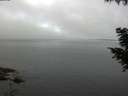 ./images/koeye/fitz-hugh/20200827/fitz-hugh20200827_100502.jpg