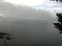 ./images/koeye/fitz-hugh/20200827/fitz-hugh20200827_102002.jpg