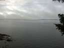 ./images/koeye/fitz-hugh/20200827/fitz-hugh20200827_102502.jpg