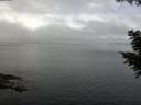 ./images/koeye/fitz-hugh/20200827/fitz-hugh20200827_104001.jpg