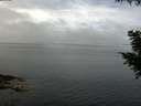 ./images/koeye/fitz-hugh/20200827/fitz-hugh20200827_104501.jpg