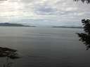 ./images/koeye/fitz-hugh/20200827/fitz-hugh20200827_113501.jpg