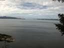 ./images/koeye/fitz-hugh/20200827/fitz-hugh20200827_114001.jpg