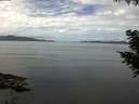 ./images/koeye/fitz-hugh/20200827/fitz-hugh20200827_114501.jpg