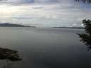 ./images/koeye/fitz-hugh/20200827/fitz-hugh20200827_124502.jpg