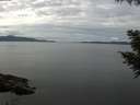 ./images/koeye/fitz-hugh/20200827/fitz-hugh20200827_130502.jpg