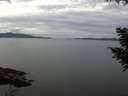 ./images/koeye/fitz-hugh/20200827/fitz-hugh20200827_131502.jpg