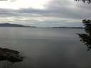 ./images/koeye/fitz-hugh/20200827/fitz-hugh20200827_135501.jpg