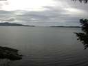 ./images/koeye/fitz-hugh/20200827/fitz-hugh20200827_141501.jpg