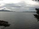 ./images/koeye/fitz-hugh/20200827/fitz-hugh20200827_142001.jpg