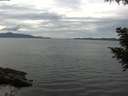 ./images/koeye/fitz-hugh/20200827/fitz-hugh20200827_142501.jpg