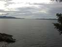 ./images/koeye/fitz-hugh/20200827/fitz-hugh20200827_143501.jpg