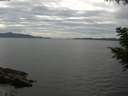 ./images/koeye/fitz-hugh/20200827/fitz-hugh20200827_145001.jpg