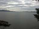 ./images/koeye/fitz-hugh/20200827/fitz-hugh20200827_145501.jpg