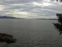 ./images/koeye/fitz-hugh/20200827/fitz-hugh20200827_150501.jpg