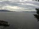 ./images/koeye/fitz-hugh/20200827/fitz-hugh20200827_151001.jpg