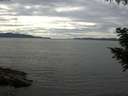 ./images/koeye/fitz-hugh/20200827/fitz-hugh20200827_152001.jpg