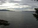 ./images/koeye/fitz-hugh/20200827/fitz-hugh20200827_152501.jpg