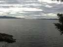 ./images/koeye/fitz-hugh/20200827/fitz-hugh20200827_154002.jpg