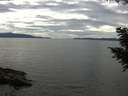./images/koeye/fitz-hugh/20200827/fitz-hugh20200827_154502.jpg