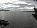 ./images/koeye/fitz-hugh/20200827/fitz-hugh20200827_155001.jpg