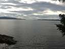./images/koeye/fitz-hugh/20200827/fitz-hugh20200827_155501.jpg
