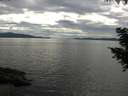 ./images/koeye/fitz-hugh/20200827/fitz-hugh20200827_162502.jpg