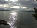 ./images/koeye/fitz-hugh/20200827/fitz-hugh20200827_164502.jpg