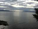 ./images/koeye/fitz-hugh/20200827/fitz-hugh20200827_170501.jpg
