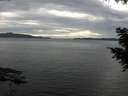 ./images/koeye/fitz-hugh/20200827/fitz-hugh20200827_174501.jpg