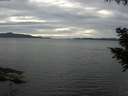 ./images/koeye/fitz-hugh/20200827/fitz-hugh20200827_175001.jpg