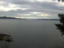 ./images/koeye/fitz-hugh/20200827/fitz-hugh20200827_175501.jpg