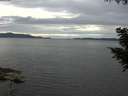 ./images/koeye/fitz-hugh/20200827/fitz-hugh20200827_180001.jpg
