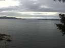 ./images/koeye/fitz-hugh/20200827/fitz-hugh20200827_180501.jpg