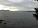 ./images/koeye/fitz-hugh/20200827/fitz-hugh20200827_185001.jpg