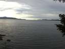 ./images/koeye/fitz-hugh/20200827/fitz-hugh20200827_190502.jpg