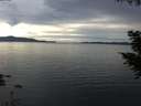./images/koeye/fitz-hugh/20200827/fitz-hugh20200827_193502.jpg