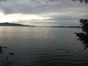 ./images/koeye/fitz-hugh/20200827/fitz-hugh20200827_194002.jpg