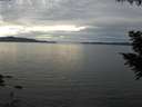 ./images/koeye/fitz-hugh/20200827/fitz-hugh20200827_194502.jpg